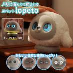 AIペット lopeto チャージングベ