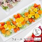 父の日 花 アレンジメント 2025 最短翌日着 ウォールフラワー L クリアケース付 プリザーブドフラワー プレゼント