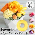 父の日 花 スイーツ セット 2025 Favori ミニバウム 花 ケース入り プリザーブドフラワー