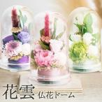 花雲 仏花 ドーム 割れない樹脂製 プリザーブドフラワー 菊 バラ カスミソウ 花