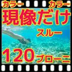 中判カメラ　ブローニー120フィルムを現像するだけスルー　フジカラー純正薬品使用