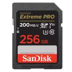 256GB SDXCカード SDカード SanDisk サン