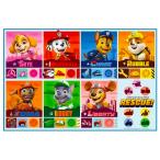 レジャーシート パウパトロール 25 サイズ 1人用 遠足 運動会 ピクニック 防水 SKATER スケーター 子供 かわいい コンパクト サイズ90×60cm 694257-VS1 ◆メ