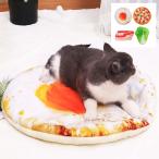  кошка коврик пицца Medama жарение бекон китайская капуста кошка bed модный зима интересный симпатичный накладка подушка нежный меньше bed флис осень-зима весна лето 