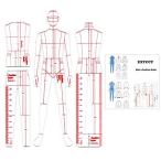 EXTCCT 男のファッションドローイング ファッションデザイン用モデルルーラー 3 種セット A4サイズ フレンチカーブルーラー 服飾・フ