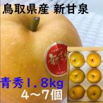 梨 ギフト 新甘泉 贈答 青秀品 4〜7玉 約1.8kg 鳥取県産 JA 鳥取中央 贈り物 日付指定ok プレゼント 御礼 お礼 のし 熨斗対応