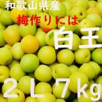 Yahoo! Yahoo!ショッピング(ヤフー ショッピング)白王 梅 送料無料 2L ７kg 和歌山県産
