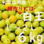 白王 梅干 L〜2L 6ｋｇ 大きさお任せ 和歌山 送料無料