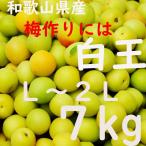 Yahoo! Yahoo!ショッピング(ヤフー ショッピング)白王 梅 送料無料 L〜2L ７kg 大小混合 和歌山県産