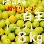 Yahoo! Yahoo!ショッピング(ヤフー ショッピング)白王 梅 L〜2L 8kg 大小混合 和歌山県産 送料無料