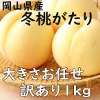  есть перевод зима персик ... Okayama префектура производство размер оставив решение кому-то другому 1kg и больше белый персик для бытового использования дом для дата указание OK указанный день OK