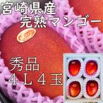 完熟マンゴー ギフト 宮崎県産 4L 4玉 母の日 のし 熨斗 秀品 贈答 ギフト 高糖度 農協品 JA 御礼 御供 プレゼント 指定日OK 4月下旬順次発送