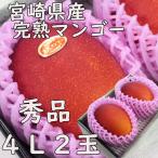 完熟マンゴー 宮崎県産 ４L ２玉 父の日 のし 熨斗 秀品 送料無料  プレゼント 御礼 高糖度 農協品 JA 高級 お中元 御中元 日付指定ＯＫ 指定日OK