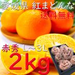お歳暮 紅まどんな 送料無料 愛媛 赤秀 ２kg Ｌ〜３Ｌサイズ 和紙 個包装 JAえひめ中央 進物 光センサー選科 御歳暮 贈答 ギフト 御礼  熨斗 のし プレゼント