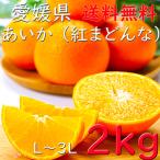 みかん 紅まどんな あいか 送料無料 お歳暮 愛媛 2kg M〜4Lサイズお任せ 家庭用 JAえひめ中央 ギフト 熨斗 のし プレゼント
