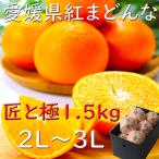 みかん 紅まどんな 送料無料 お歳暮 愛媛 匠と極 1.5kg 2L〜4Lサイズ JAえひめ中央 光センサー選科 ギフト 熨斗 のし 贈答 御礼 プレゼント 指定日OK