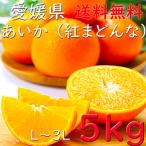 .. какой бесплатная доставка подарок по случаю конца года ... Ehime 5kg L~4L JA... центр подарок ... . подарок .. праздник . видеть Mai . указанный день OK