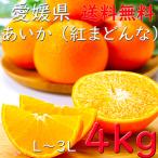 みかん 紅まどんな あいか 送料無料 お歳暮 愛媛 4kg M〜4L JAえひめ中央 ギフト 熨斗 のし プレゼント