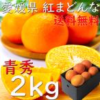 みかん 紅まどんな 送料無料 お歳暮 愛媛 秀品 2kg M〜4Lサイズ JAえひめ中央 光センサー選科 ギフト 御歳暮 熨斗 のし 御礼 プレゼント お見舞い 指定日OK