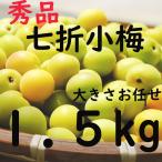 Yahoo! Yahoo!ショッピング(ヤフー ショッピング)七折小梅 L〜3L 1.5ｋｇ 愛媛県産 秀品 送料無料