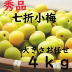 Yahoo! Yahoo!ショッピング(ヤフー ショッピング)七折小梅 L〜3L 4ｋｇ 愛媛県産 秀品 大小混合