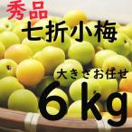 Yahoo! Yahoo!ショッピング(ヤフー ショッピング)七折小梅 送料無料 大きさお任せ L〜3L 6ｋｇ 愛媛県産