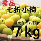 Yahoo! Yahoo!ショッピング(ヤフー ショッピング)七折小梅 送料無料 大きさお任せ L〜3L 7ｋｇ 愛媛県産