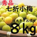 Yahoo! Yahoo!ショッピング(ヤフー ショッピング)七折小梅 送料無料 大きさお任せ L〜3L 8ｋｇ 愛媛県産