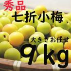 Yahoo! Yahoo!ショッピング(ヤフー ショッピング)七折小梅 愛媛県産 送料無料 大きさお任せ L〜3L 9ｋｇ