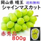 シャインマスカット 岡山県産 800g 赤秀 お中元 贈答用 大粒 1房 のし 熨斗 JA 農協 ギフト プレゼント 御礼 日付指定OK 指定日OK