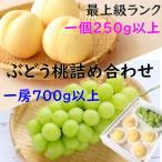 お中元 シャインマスカット 桃 岡山 晴王 白桃 秀品 御中元 1房700g〜799g 5玉250g以上 大粒 JA品 農協品 のし 熨斗 ギフト 豪華 詰め合わせ