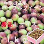 Yahoo! Yahoo!ショッピング(ヤフー ショッピング)梅 パープルクイーン 送料無料 L １kg 和歌山県産