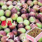 Yahoo! Yahoo!ショッピング(ヤフー ショッピング)パープルクイーン  送料無料 L 2kg 和歌山県産 秀品