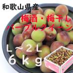 Yahoo! Yahoo!ショッピング(ヤフー ショッピング)梅 パープルクイーン 和歌山産 送料無料Ｌ〜2L 大小混合 6kg