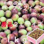Yahoo! Yahoo!ショッピング(ヤフー ショッピング)梅 パープルクイーン 送料無料 2L １kg 和歌山県産