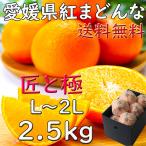 紅まどんな お歳暮 愛媛県産 匠と極 2.5kg L〜2Lサイズ JAえひめ中央 光センサー選科 御歳暮 ギフト 熨斗 のし 贈答 御礼 プレゼント 指定日OK 送料無料
