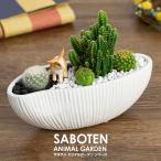 サボテン 寄せ植え トゲなし セレウス 波形タイプ 選べる動物フィギュア付き