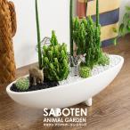 サボテン トゲなし 多肉植物 寄せ植え セレウス&スタッキー 選べる動物フィギュア2体セットタイプ