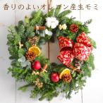 クリスマスリース  早割　手作り スモール25cm 玄関 小さめ オレゴン産　生モミ　フレッシュ おしゃれ　りんご　コットン　オレンジ　シナモン