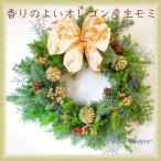 クリスマスリース 早割 手作り 本物 玄関 大きい オレゴン産　生モミ　フレッシュ　 送料込 選べるリボン45cm　おしゃれ