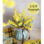 ショッピングミモザ ミモザのフラワーインテリア　花瓶つき　送別やお祝いギフトにも【送別】【誕生日】【結婚祝】【退職祝】【還暦祝】【記念品】