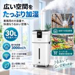 業務用家庭用加湿器 大型 30L大容量 超音波加湿器 倉庫用加湿器 スーパー向け加湿器 青果物 加湿 保湿管理 室内加湿 乾燥対策 スマート加湿器 WiFi搭載加湿器