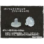 �ѡ��ե����ȥ���å��ʥԥ����Υե꡼����å���