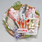 長崎近海産 磯の味セット 長崎産 ギフト のし対応 中元 歳暮 内祝い お祝い つまみ 干物セット 長崎 鯛 鯵 ふぐ 長崎
