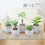 商品画像3
