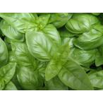  предварительный заказ распродажа сладкий базилик рассада 4 шт. комплект 9cm pot садоводство трава рассада Herb 4 месяц средний . после отправка 