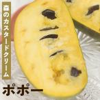  можно выбрать po Poe фруктовое дерево рассада 5 номер горшок бесплатная доставка po Poe. дерево садовое дерево саженец фруктовое дерево рассада 