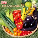  предварительный заказ распродажа помидор рассада мед желтый 12cm pot большой рассада серьезность овощи овощи рассада огород hlv 4 месяц последняя декада после отправка 