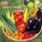  предварительный заказ распродажа кабачок рассада ...12cm pot большой рассада серьезность овощи овощи рассада огород hlv 4 месяц последняя декада после отправка 