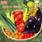  предварительный заказ распродажа кабачок рассада ...12cm pot большой рассада серьезность овощи овощи рассада огород hlv 4 месяц последняя декада после отправка 